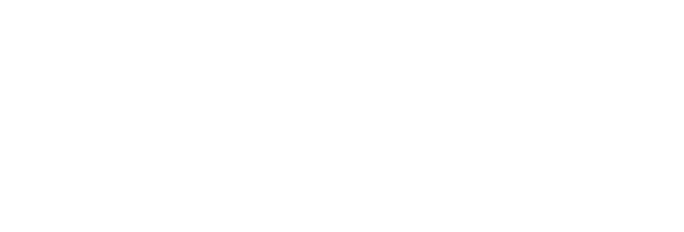 Solvion Logo 1